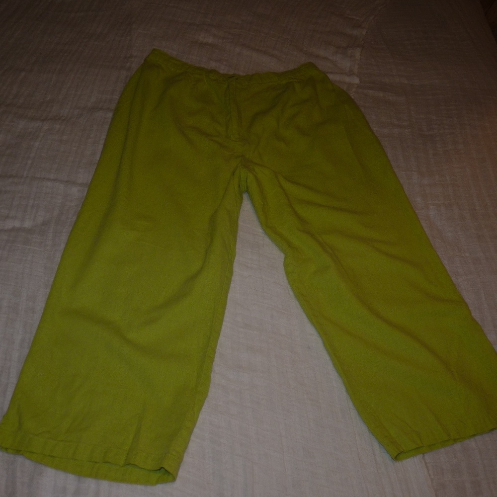 Apple Green Passports Capris 18W #1026